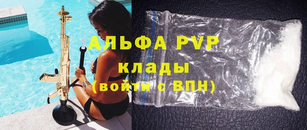 apvp Инта